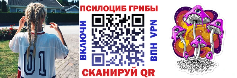 Галлюциногенные грибы Psilocybine cubensis Шуя